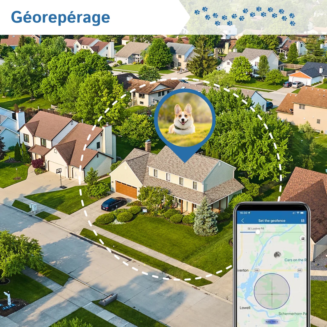 pup-pinpoint-fr-img-01