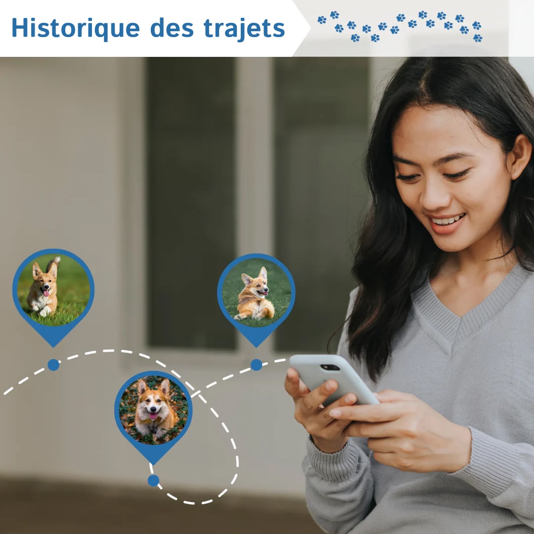 pup-pinpoint-fr-img-02