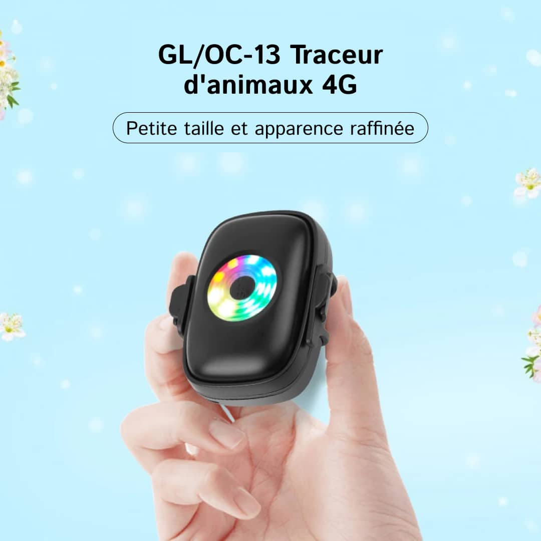 pup-pinpoint-fr-img-03