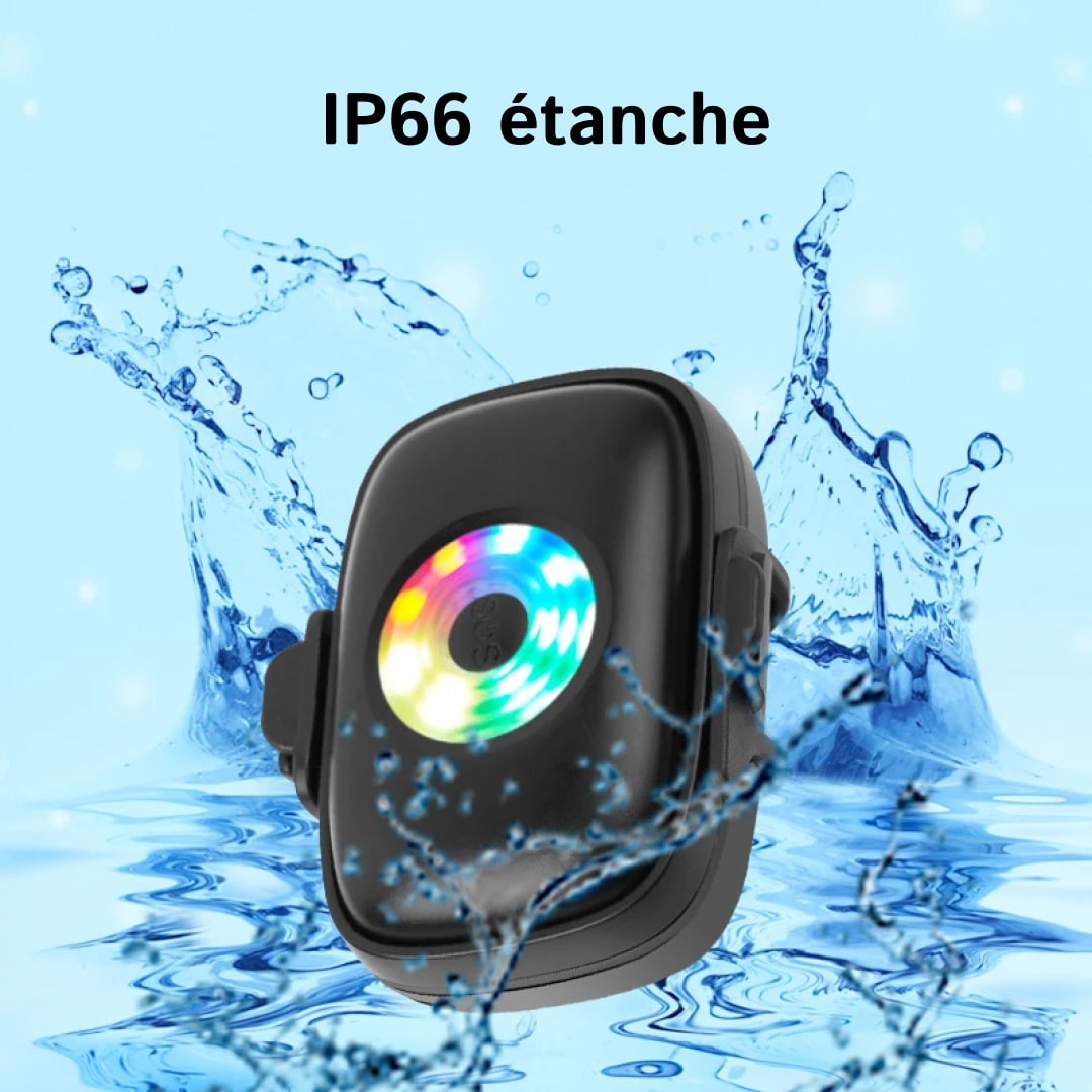 pup-pinpoint-fr-img-04