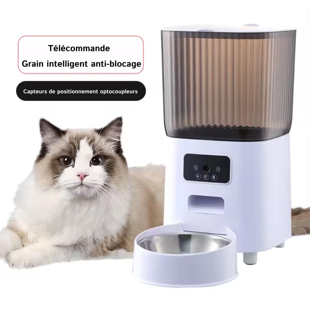 kitty-fet-fr-04