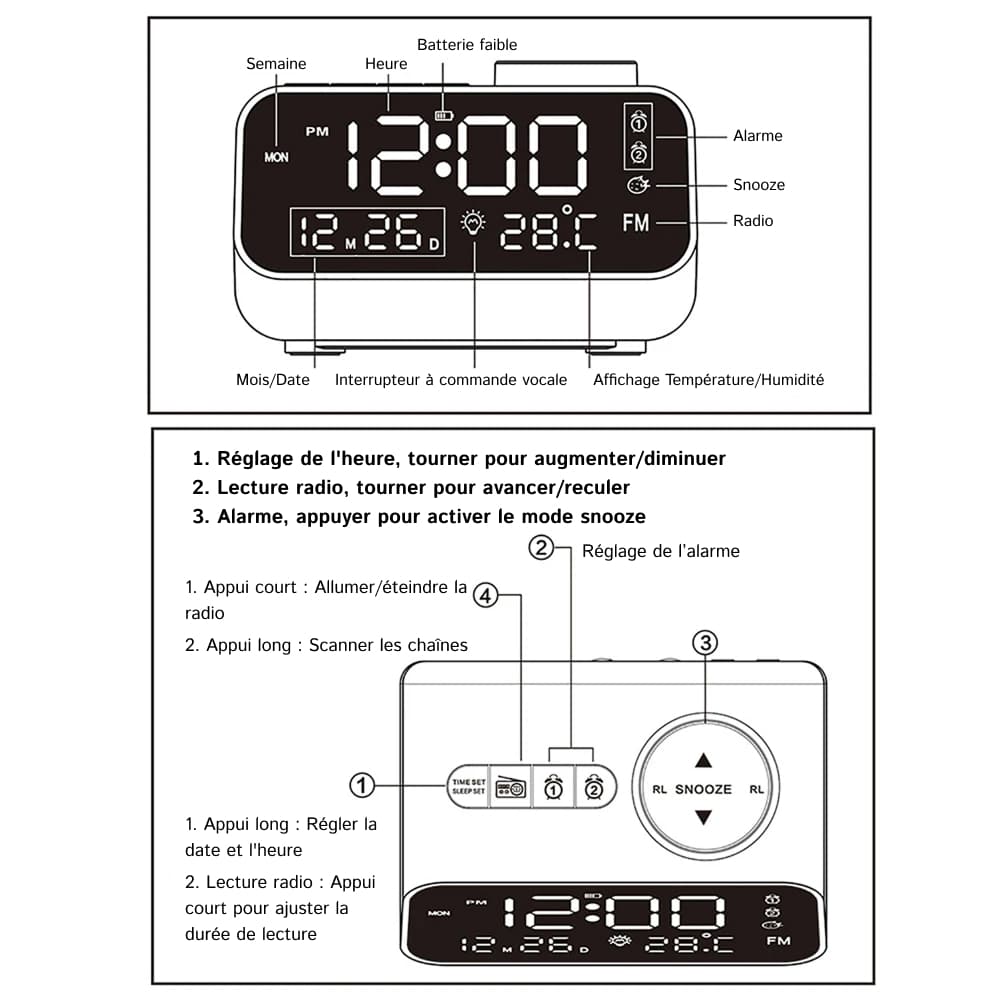 dawlody-img-fr-02