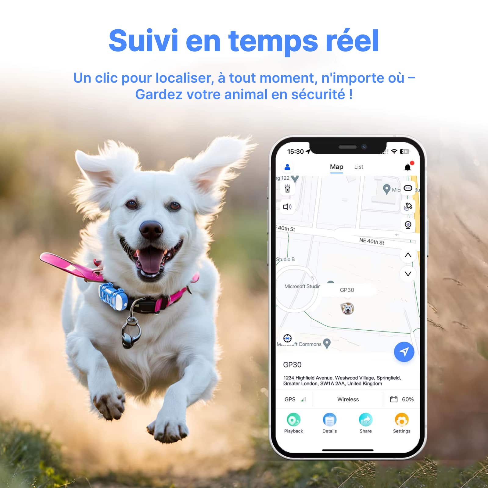 puppinpoint-2-0-img-fr-01
