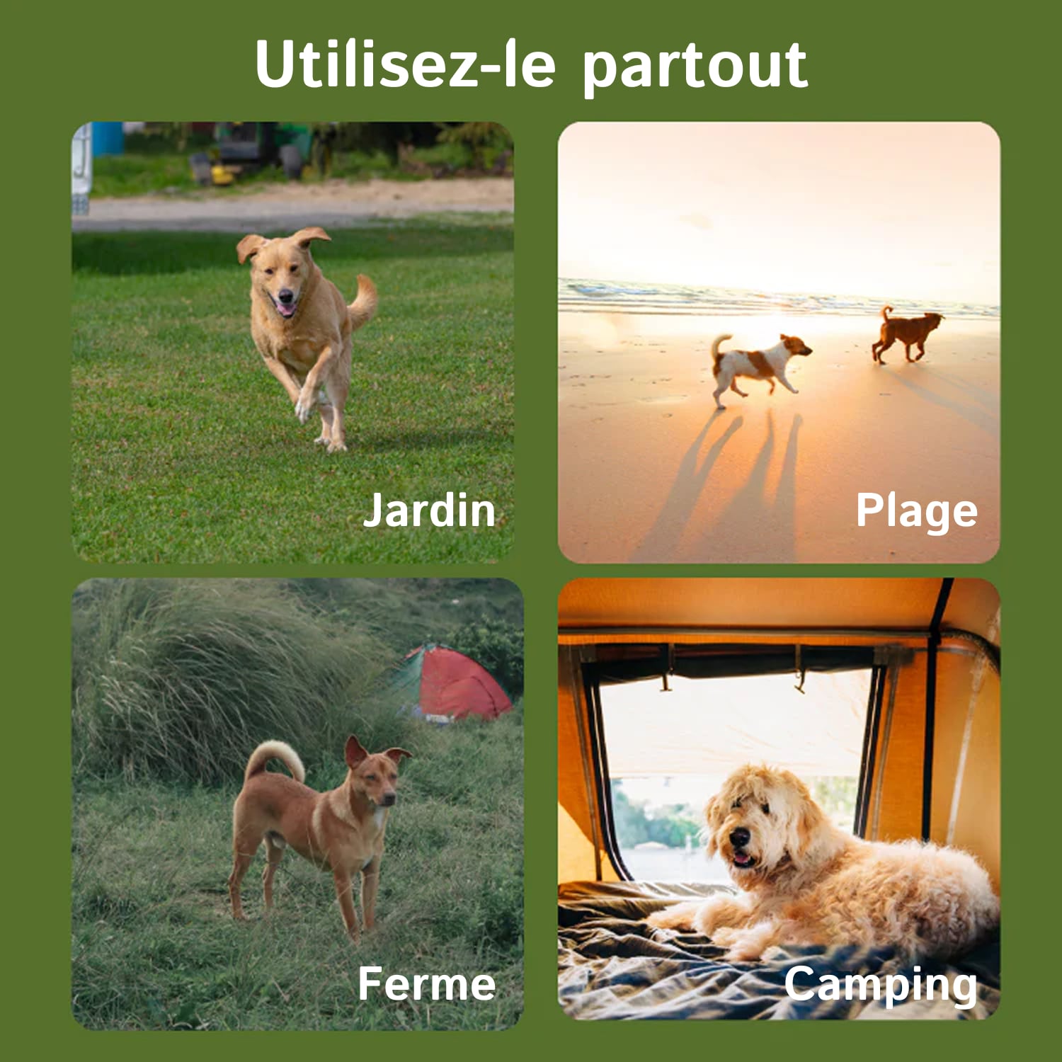 havin-fen-fr-04
