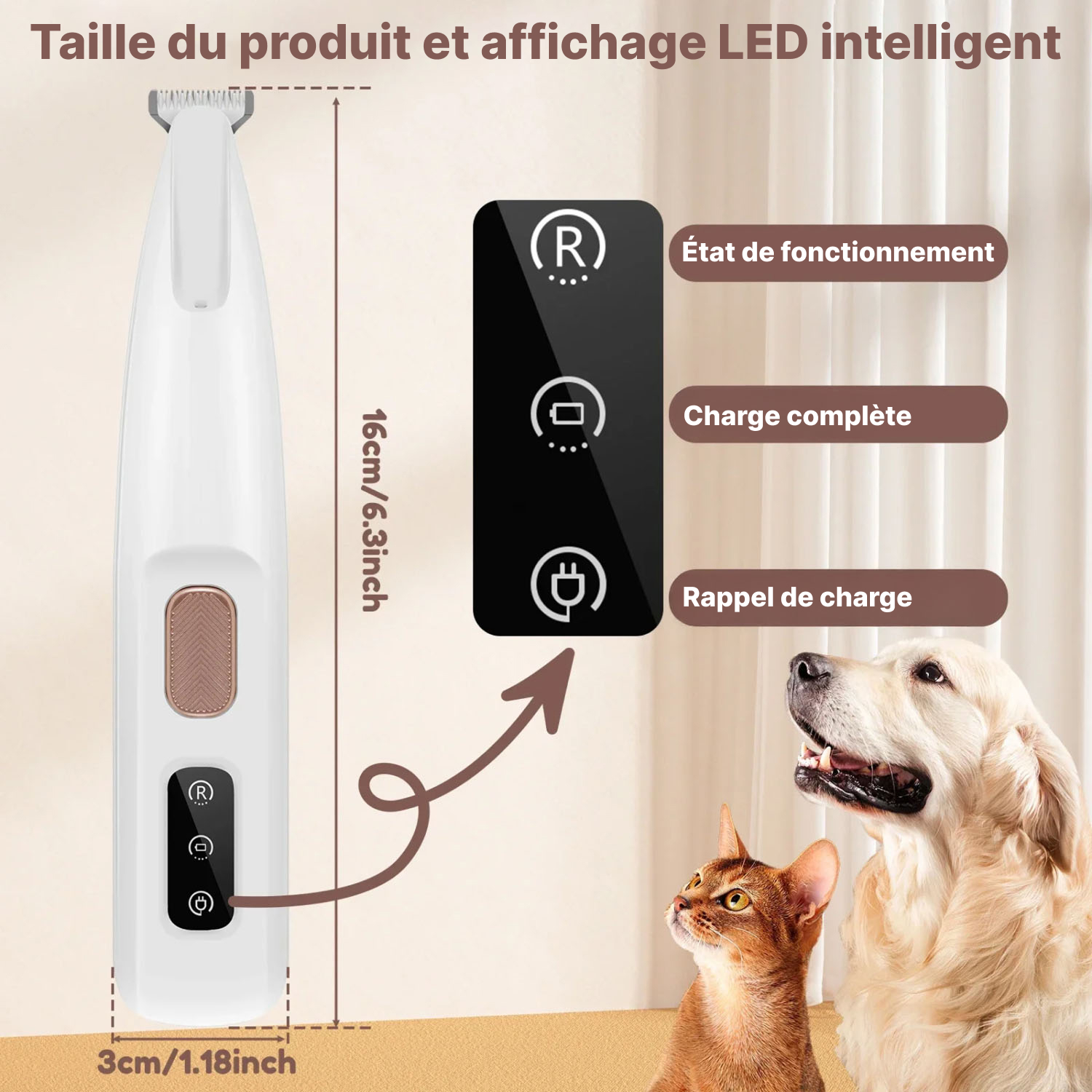 tailseew-img-fr-02