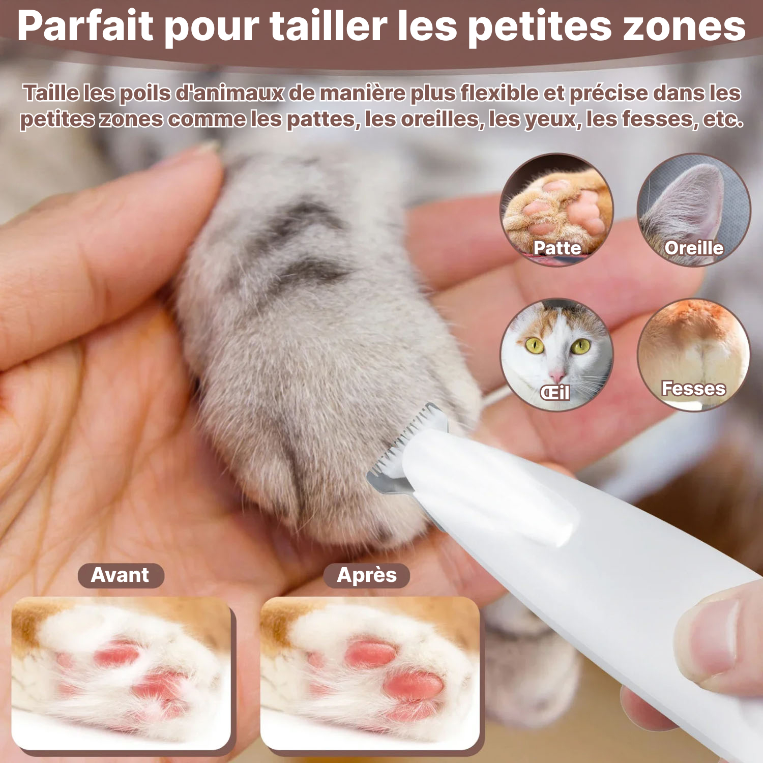 tailseew-img-fr-07